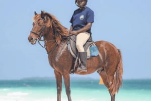 Zanzibar: Horseback riding on the beach