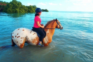 Excursión a caballo por Zanzíbar y Stone Town