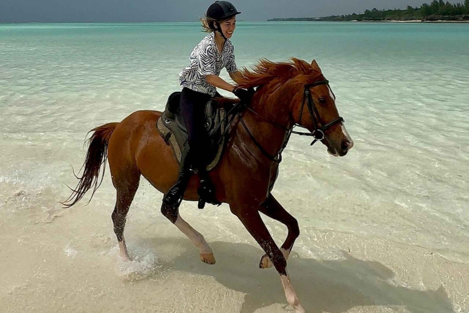 Zanzibar: Rideoplevelse med live guide