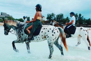 Zanzibar: Rideoplevelse med live guide