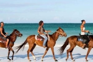 Zanzibar: Rideoplevelse med live guide