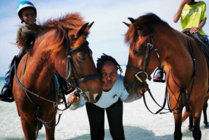 Zanzibar: Rideoplevelse med live guide