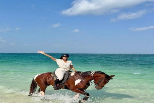 Zanzibar: Rideoplevelse med live guide