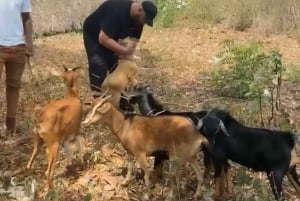 Zanzibar: Humanitaarinen kokemusmatka työpajoineen