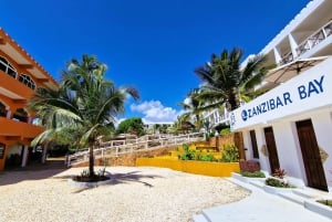 Zanzibar: 1 Day Pass all inclusive island Resort experience