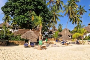 Zanzibar: 1 Day Pass all inclusive island Resort experience