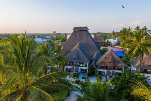 Zanzibar: 1 Day Pass all inclusive island Resort experience