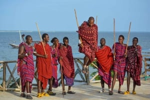 Zanzibar: 1 Day Pass all inclusive island Resort experience