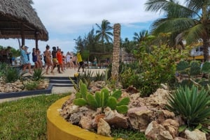 Zanzibar: 1 Day Pass all inclusive island Resort experience