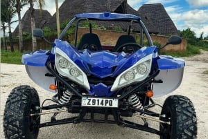 ザンジバル：ホテル送迎付きジャンビアニ・バギーアドベンチャー