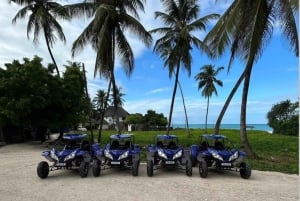 ザンジバル：ホテル送迎付きジャンビアニ・バギーアドベンチャー