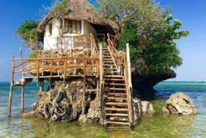 Zanzibar: Jozan Bos, Grot met Het Rots Restaurant