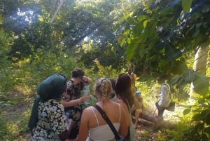 Zanzibar: Jozani Chwaka Bay Park Private Guided Tour