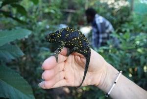 Sansibar: Jozani-Wald und Schmetterlings-Tour