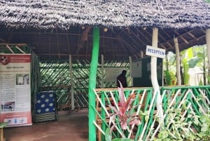 Sansibar: Jozani-Wald und Schmetterlings-Tour