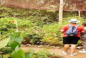 Занзибар: однодневная экскурсия в лес Джозани и Центр бабочек