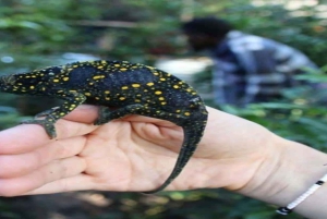 Занзибар: однодневная экскурсия в лес Джозани и Центр бабочек