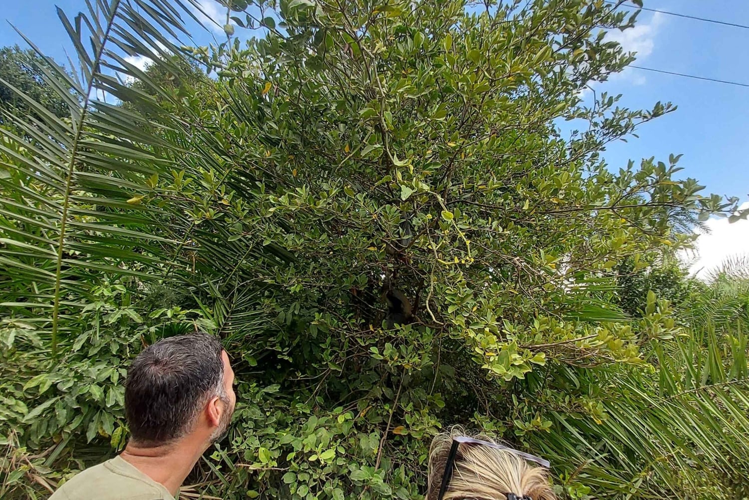Zanzibar: Jozani Forest and Kae Funk Sunset Beach Bar