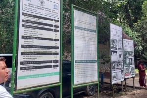 ザンジバル：ジョザニの森とカエ・ファンク・サンセット・ビーチ・バーをご覧ください