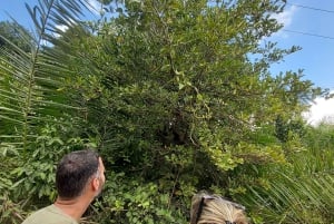 ザンジバル：ジョザニの森とカエ・ファンク・サンセット・ビーチ・バーをご覧ください