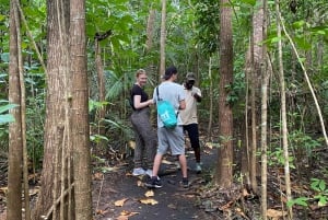 Zanzíbar: Bosque de Jozani y Piscina Natural de Maalum