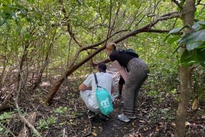 Zanzíbar: Bosque de Jozani y Piscina Natural de Maalum