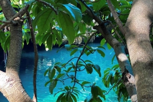 Zanzibar: Jozani-skogen och Maalums naturliga simbassäng
