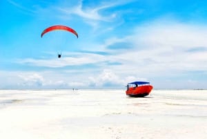 ZANZIBAR: Dagsutflykt till Jozani-skogen och Paje-stranden