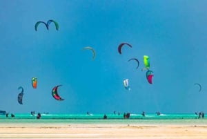 ZANZIBAR: Dagsutflykt till Jozani-skogen och Paje-stranden