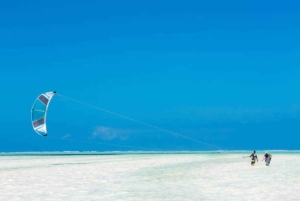 ZANZIBAR: Dagsutflykt till Jozani-skogen och Paje-stranden