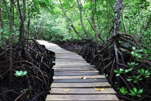 Zanzibar: Jozani Forest och Rock Restaurant Tour