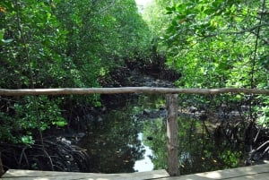 Zanzibar: Jozani Forest och Rock Restaurant Tour