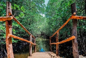 Zanzibar: Jozani Forest och Rock Restaurant Tour