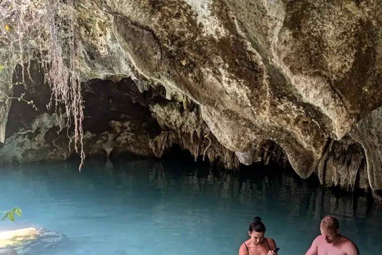 Zanzibar: Bading med skilpadder i Kizimkaz og Jozani-skogen