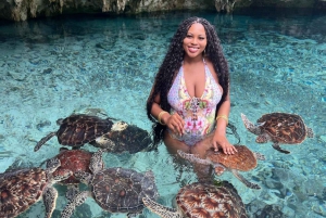 Zanzibar: Bading med skilpadder i Kizimkaz og Jozani-skogen