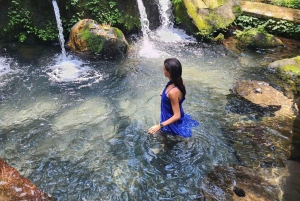 Zanzibar: Bading med skilpadder i Kizimkaz og Jozani-skogen