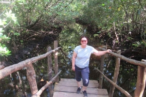 Zanzíbar: bosque de Jozani y santuario de tortugas de la cueva de Salaam