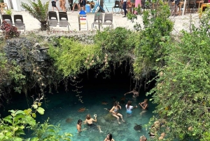 Zanzíbar: bosque de Jozani y santuario de tortugas de la cueva de Salaam