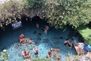 ZANZIBAR: Jozanin metsä ja Salam-luola, jossa kilpikonnia ui