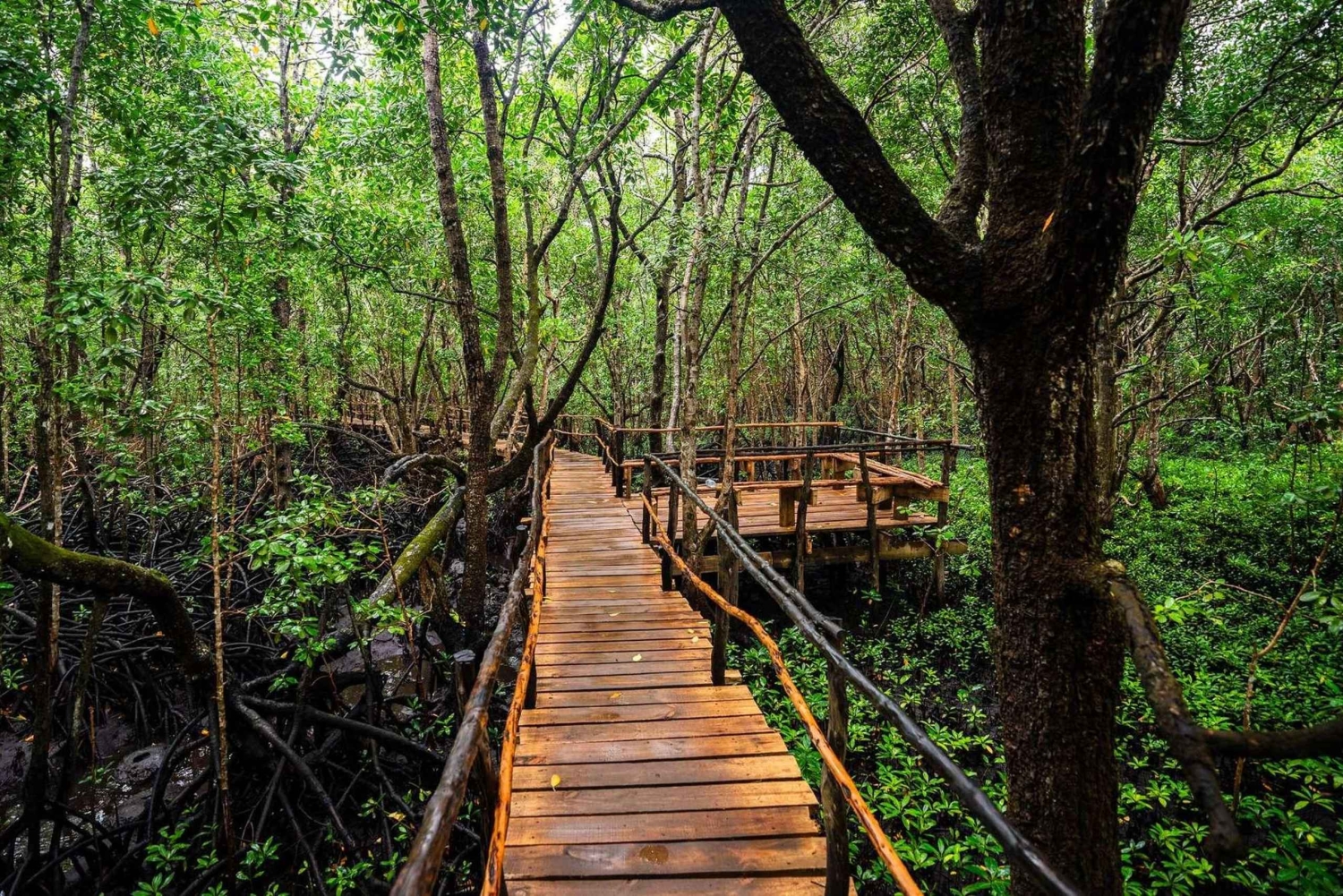 Zanzibar: Jozani Forest and Spice Farm expert Tour