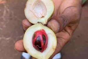 Zanzibar: Jozani Forest and Spice Farm expert Tour