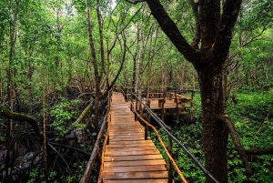 Zanzibar: Jozani Forest and Spice Farm expert Tour