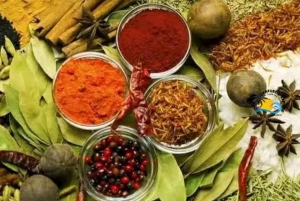 Zanzibar : visite guidée de la forêt de Jozani et de la ferme aux épices