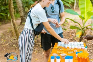 Zanzibar : visite guidée de la forêt de Jozani et de la ferme aux épices