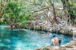 Zanzibar: Jozani-skogen og krydderfarmtur med transport