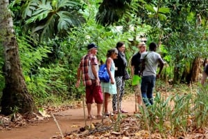 Zanzibar: Jozani-skogen og krydderfarmtur med transport