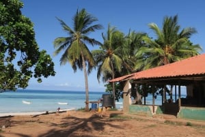 Zanzibar: Jozani-skogen og krydderfarmtur med transport