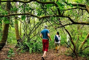 Zanzibar: Wycieczka do lasu Jozani i na farmę przypraw z transferem