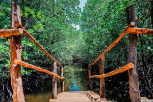 Zanzibar: Wycieczka do lasu Jozani i na farmę przypraw z transferem