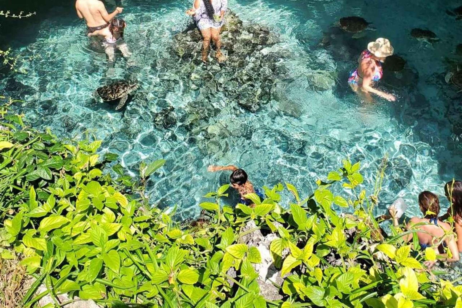 ZANZIBAR : Excursion dans la forêt de Jozani et le sanctuaire des tortues